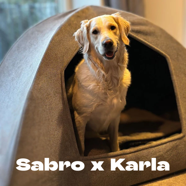 Sabro x Karla - image 1